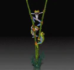 Red-Eyed Tree Frog -Music Box-HD 3D print model - Sculpture