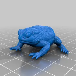 Resting Toad