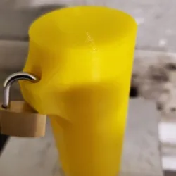 (Safe) lock bottle container