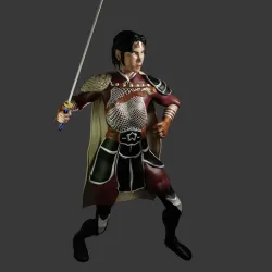 Samurai Ninja Female