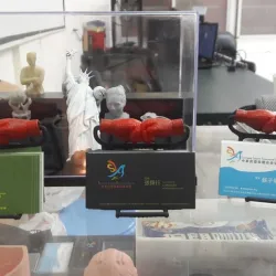 Shop card shelf - Boxing