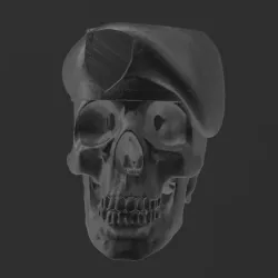 Skull Skull Skull Cranium Beret - Military - Matte/Potted