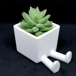 Succulent Planter / 3D printed planter / Legged Planter