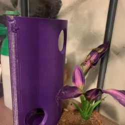 Tarantula Hide (T Hide)