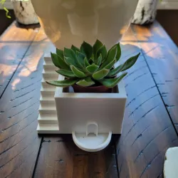 The Single Succulent Planter