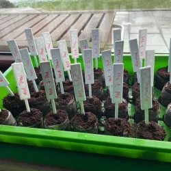 Vertical Plant Signs