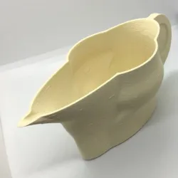 Water jug for plants