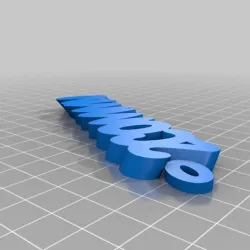 2commn key chain2