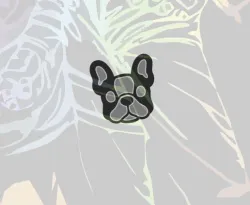 BULLDOG LASER FRAME
