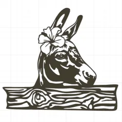 Donkey