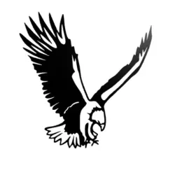 Eagle wall decor