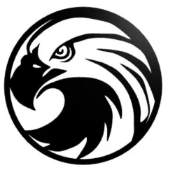 Eagle wall decor