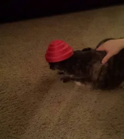 Energy Dome / Devo Hat