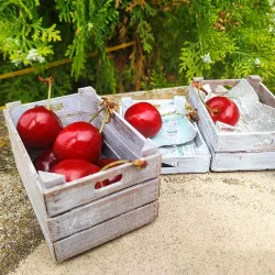 Fruit box Wooden box planter - Three sizes_ 1/6 Scale_Action figure_ Doll House