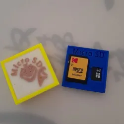 Mini case to store Micro SD