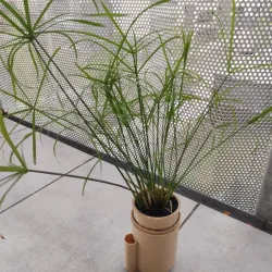 Mini Self watering pot for plants - version 1