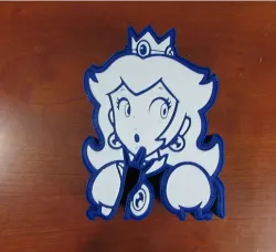princess peach box