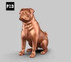Pug Dog Pose 03
