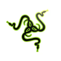 Razer Logo wall decor