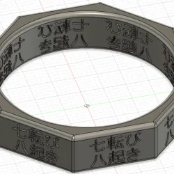 Ring Size US 9.5 - Japanese Koan