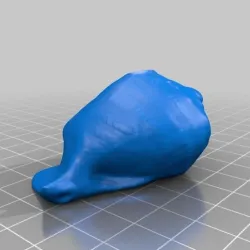 Sea Shell