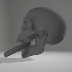 skull keychain