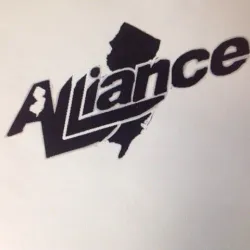 The Offical New Jersey Alliance Paintball team logo
