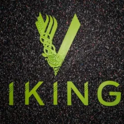 Vikings Logo