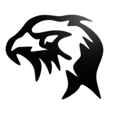 Wall decor eagle