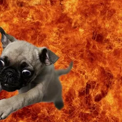 Big Flamethrower For A Big Dog