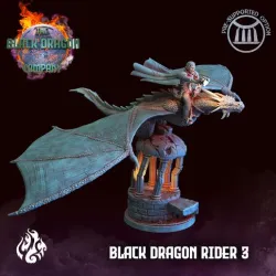 Black Dragon Rider 3