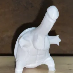 Carapuce en Carabite, Squirtle dick