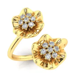 Fancy ring
