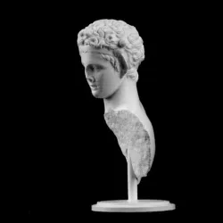 Head and Part of a Satyr at The Metropolitan Museum of Art, New York