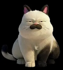 Machiavelli Luca Cat