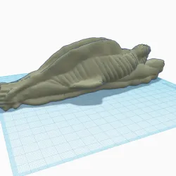 Mystic Underwater Snail