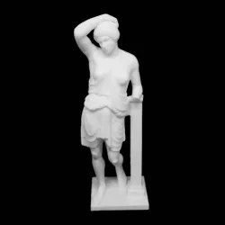 Wounded Amazon at The Metropolitan Museum of Art, New York