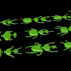 9 beetles