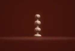ball plug