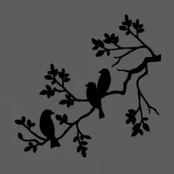 Birds - birds - 2D