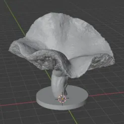 Bolete #5