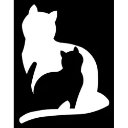Cats 5