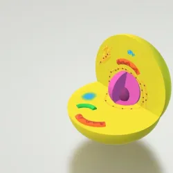 cell