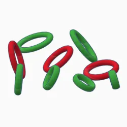 Cock ring in all sizes (Easy Print)