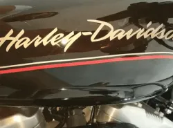 Control cruiser Harley Davidson 883 iron ,superlow