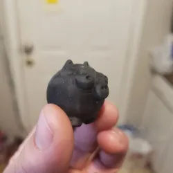 Derpy Pig