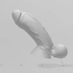 dick