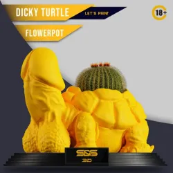 Dicky Turtle FlowerPot 🌵