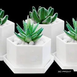 GEOMETRIC VASE | MODERN PLANTER
