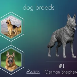 German Shepherd model 3D print model